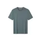 Gray Green