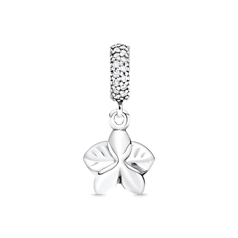 Pandora Charms / Pendants Women's-1