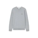 Silver Light Gray
