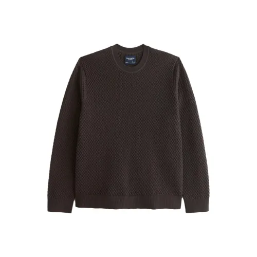 Abercrombie＆Fitch Sweaters Men Coal Brown
