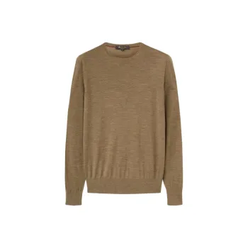 Loro Piana Sweater Men's Moss Original Mixed Color