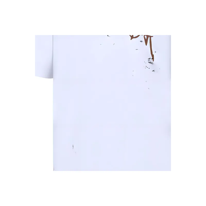 DIOR X Cactus Jack Oversized T Shirt-4