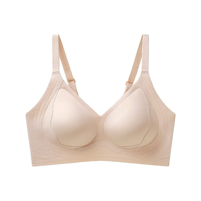 Lanza Women's Bras-0