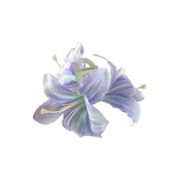SFER Hair Clips Women's