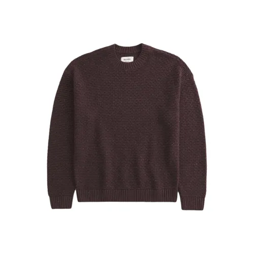 Hollister Sweaters Men Brown