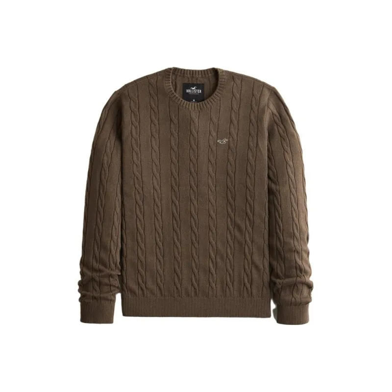 Hollister Sweaters Men-6
