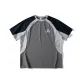 Stone Gray