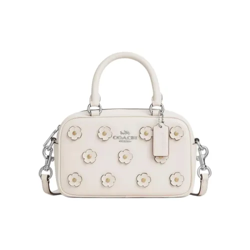 COACH SATCHEL Leather One Shoulder Handbag Small Size Women's Silver & Chalk