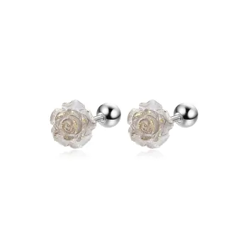 AEMC Titanium Steel Stud Earrings Unisex