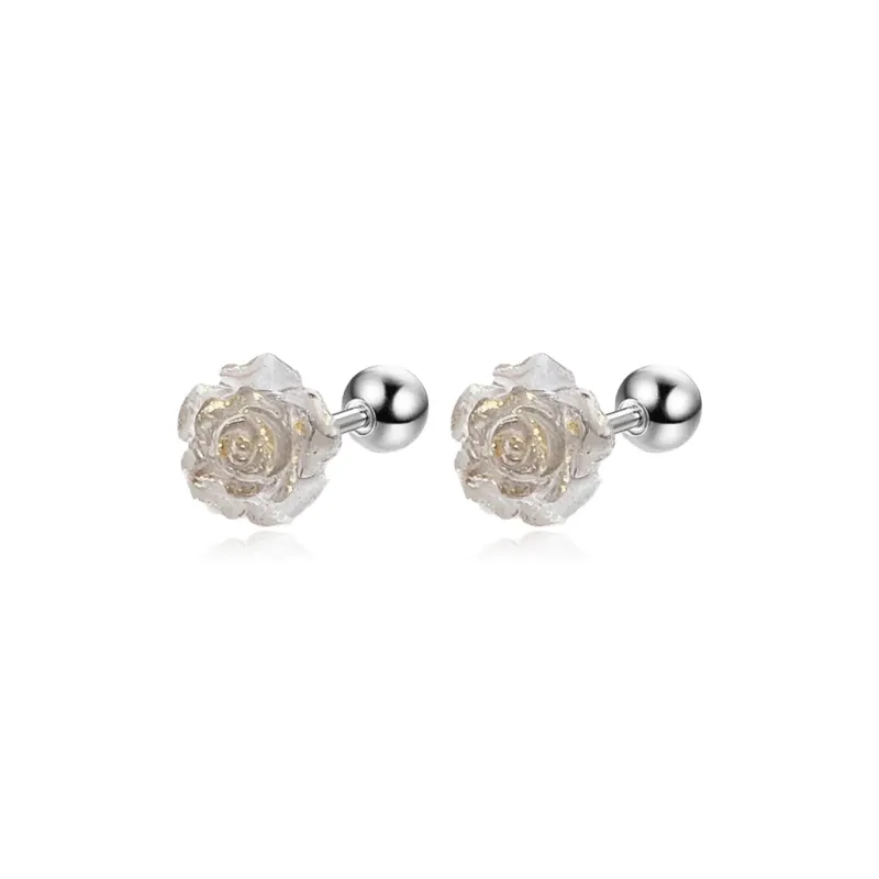 AEMC Titanium Steel Stud Earrings Unisex-24