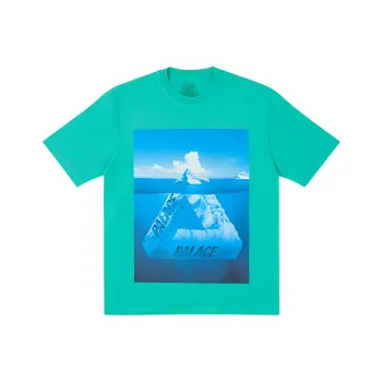PALACE Berg Ferg T shirt