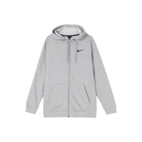 Nike lakers genius Men Light Gray