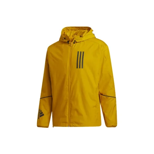 Adidas Jackets Men Gold