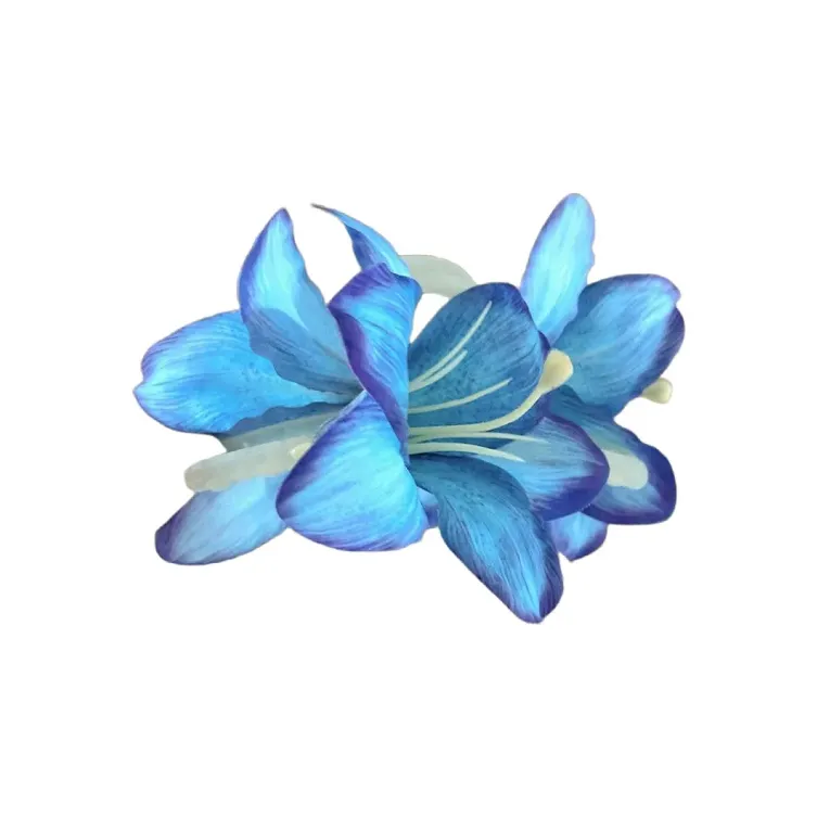 SFER Hair Clips Women's-11