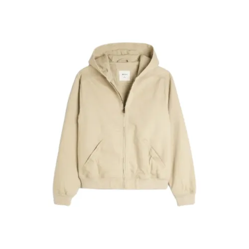 Hollister Sweatshirt Men's Khaki