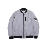 Silver Gray