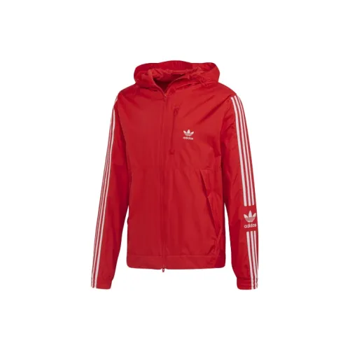 Adidas Originals Lock Up Wb Jacket Men's Bright Pink Fluorescent