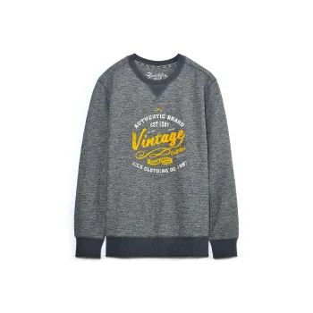 MCS Sweatshirts Men Dark Gray