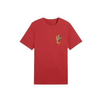 PUMA Road TO Unity T Shirt Men's Red 15