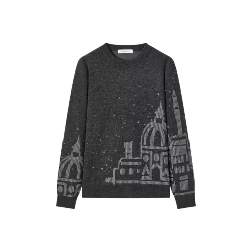 DEGAIA FW24 Sweater Men's Black Gray Positioning Flower