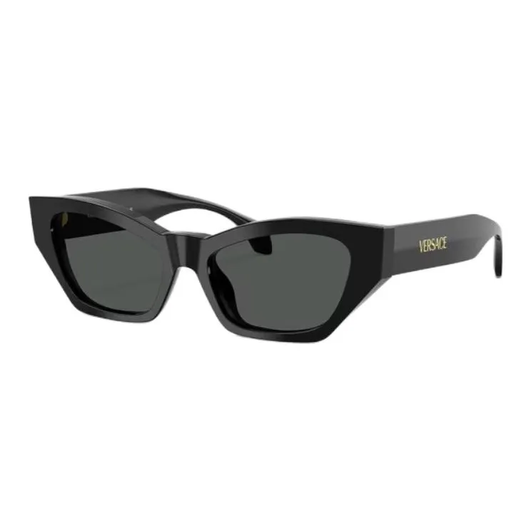 VERSACE Cat eye Sunglasses-0