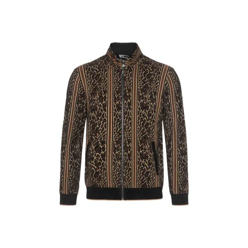 ANDREW MACKENZIE Knitwear Men Coffee