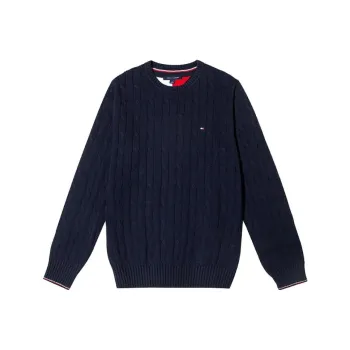 Tommy Hilfiger Sweater Fall Winter Men's Navy Blue
