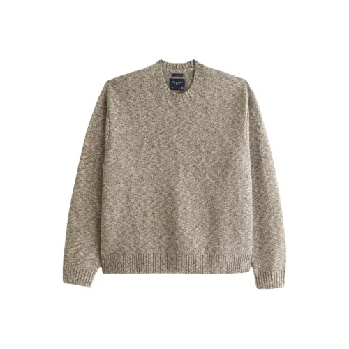 Abercrombie＆Fitch Sweaters Men Light Brown