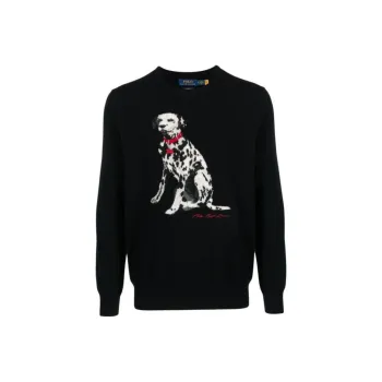 Polo Ralph Lauren Sweater Men's