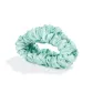 Green Hair Claw Clip