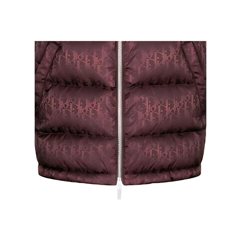 DIOR Oblique Sleeveless Down Jacket-4