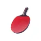 Short Handle Penhold Grip*1