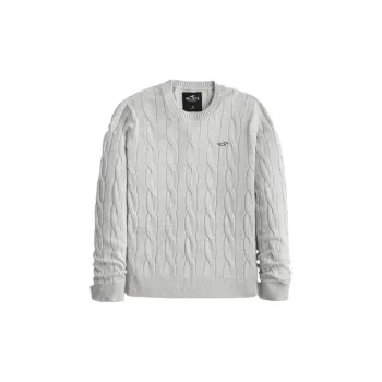 Hollister Sweaters Men
