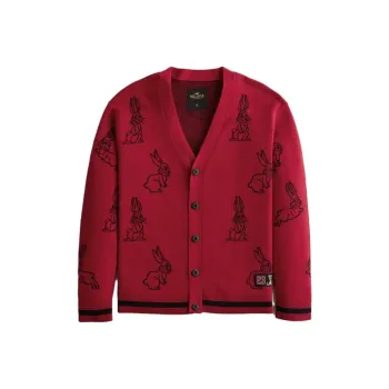 Hollister Sweaters Men Red Print