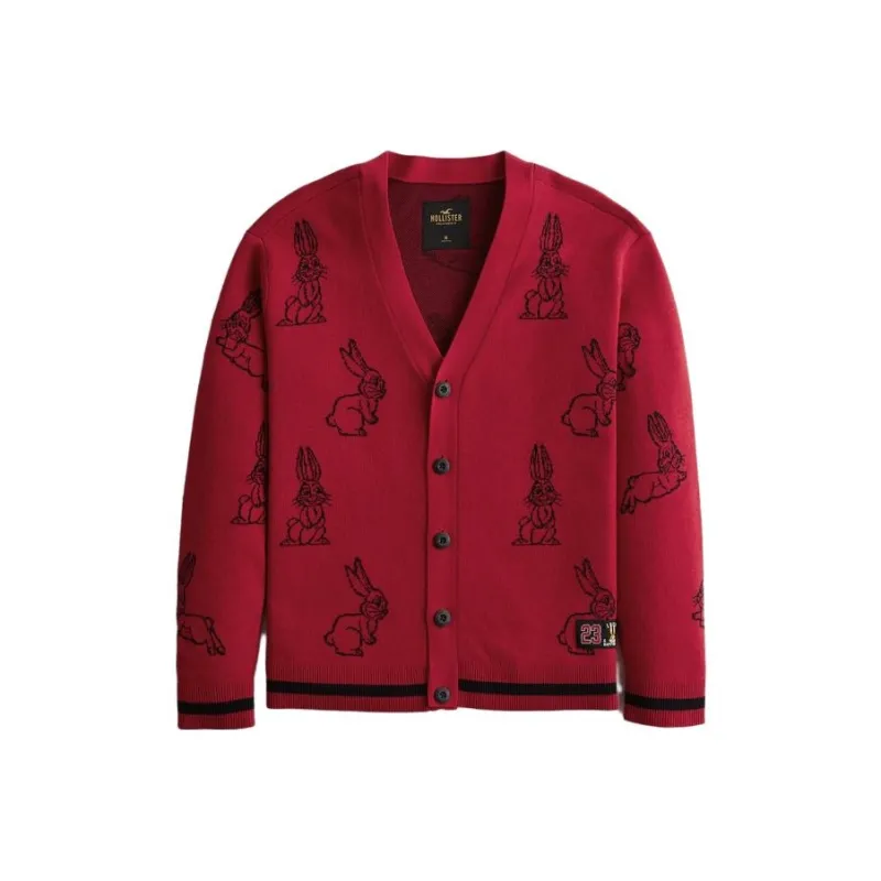 Hollister Sweaters Men Red Print-0