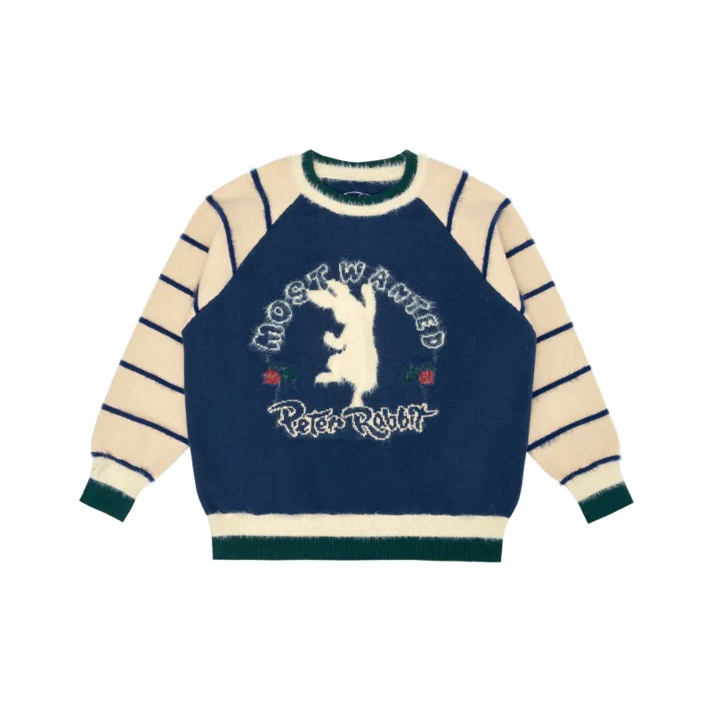 MostwantedLab x Peter Rabbit Knitwear Unisex-8