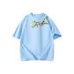 Arctic Ice Blue