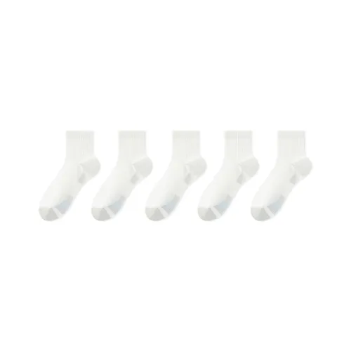 B&C.Room Ankle Socks Men's 5 Pack