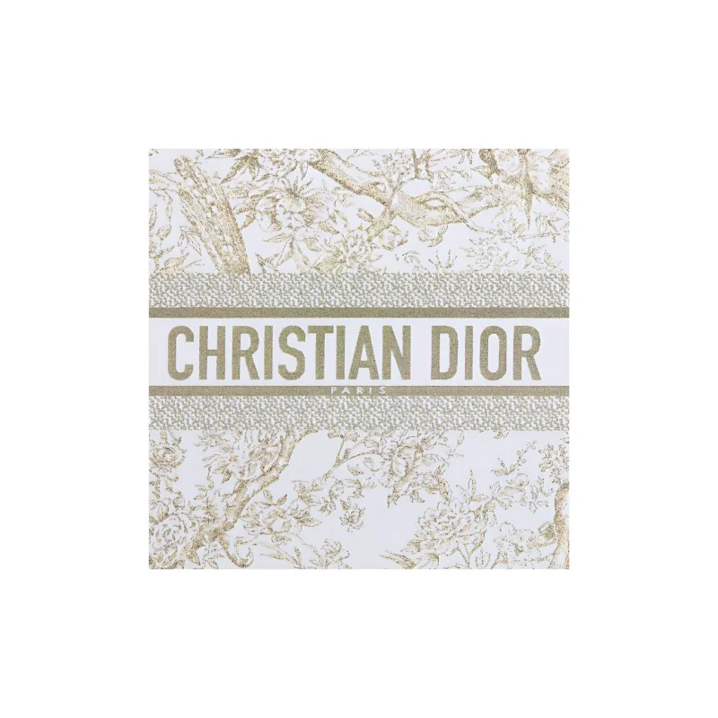 DIOR Leather Clutch Women's White-2