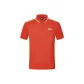 Red Standard Color