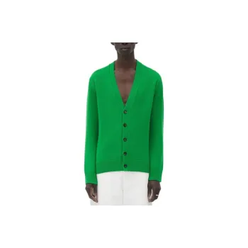 Bottega Veneta Knitwear Men Green
