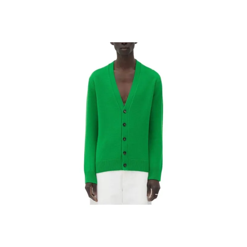 Bottega Veneta Knitwear Men Green-0