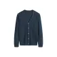 Blue Gray 009