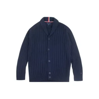 Tommy Hilfiger Knitwear Men's Navy Blue