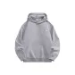 Iridescent Light Gray