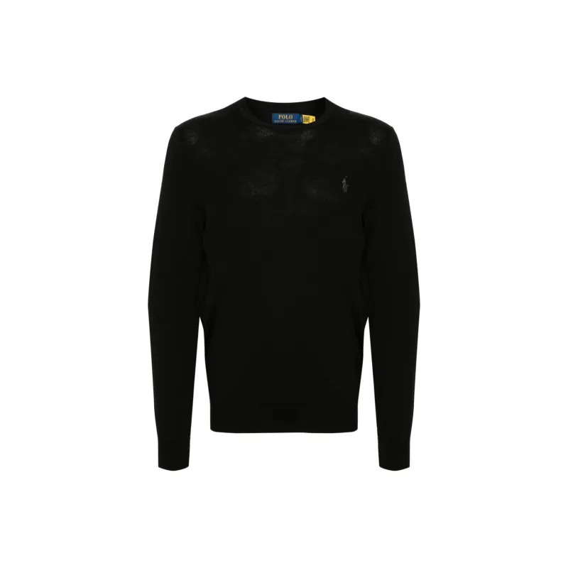 Polo Ralph Lauren Logo Embroidered Crewneck Jumper-0