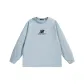 Ice Blue Gray