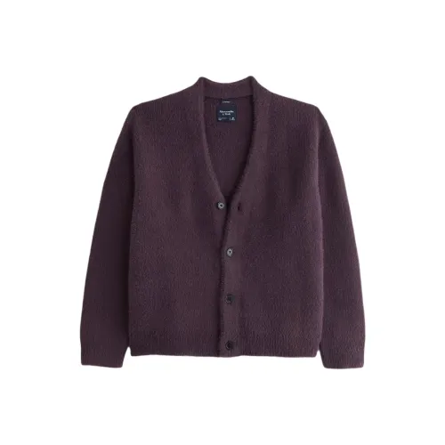 Abercrombie＆Fitch Sweaters Men Dark Purple