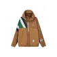 Brown Yellow & Chestnut Brown