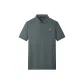 Gray Green